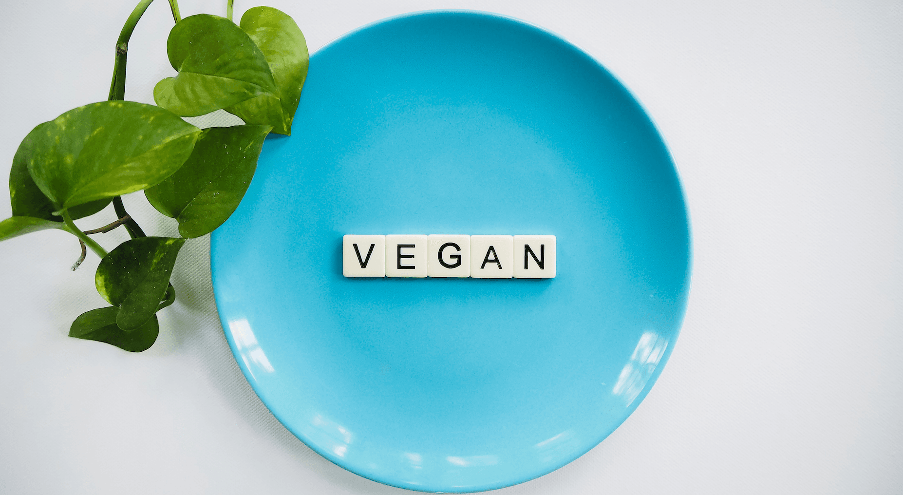 VEGANİZM