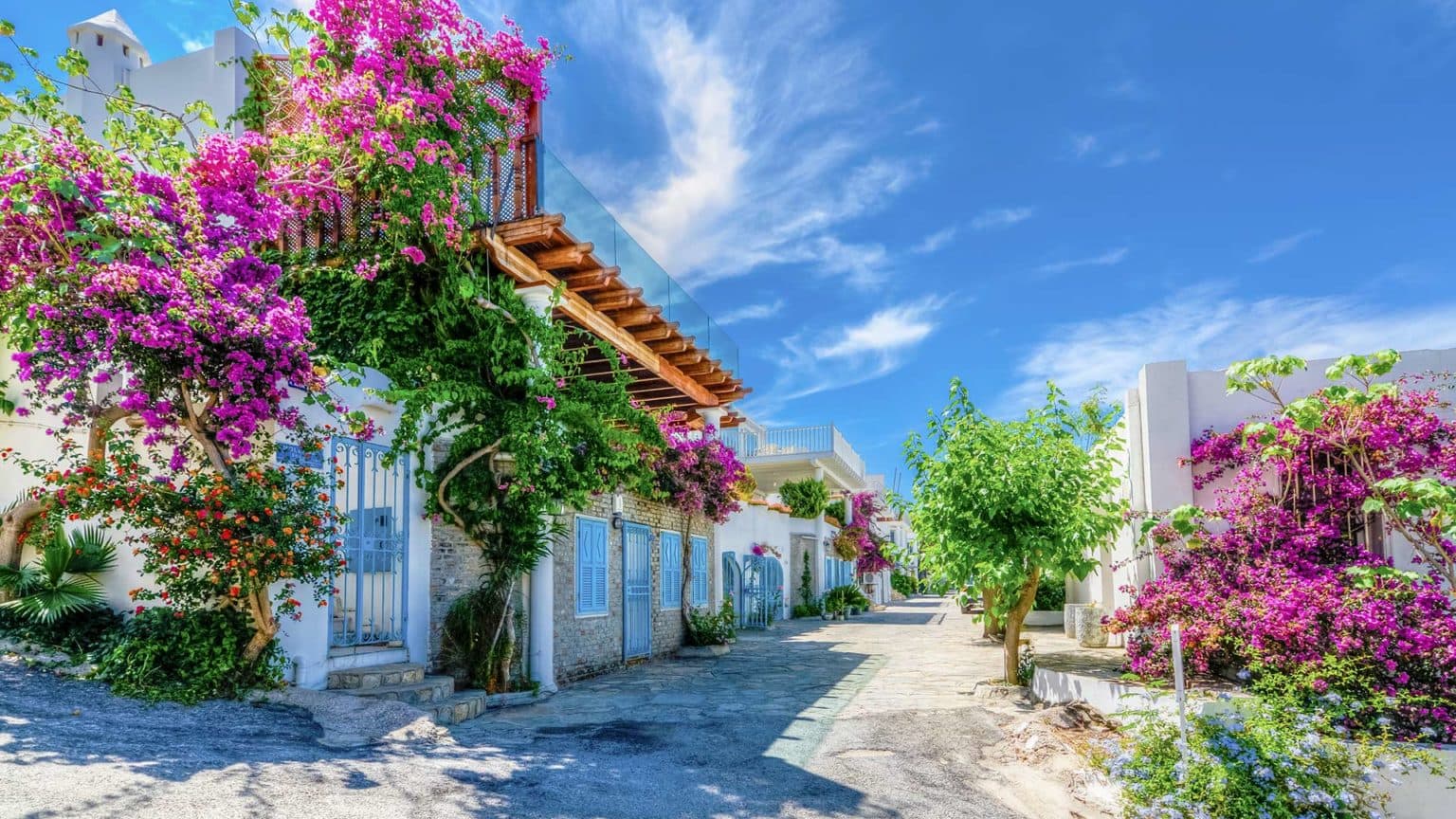 Bu Yaz Bodrum’da Ne Var Ne Yok?