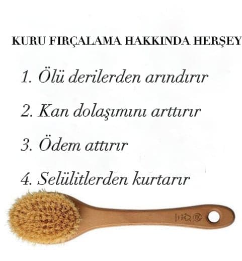 Kuru fırçalama faydalarını gösteren bir liste ve ahşap kuru fırça