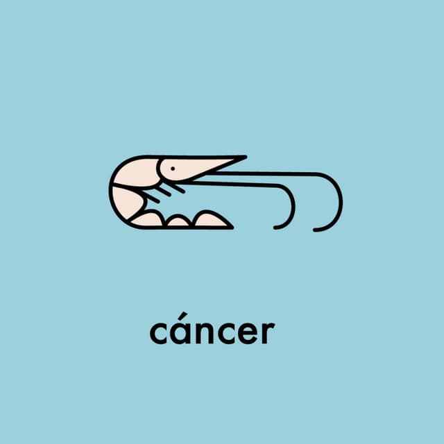 Mavi zeminde stilize karides illüstrasyonu ve altında cáncer kelimesi