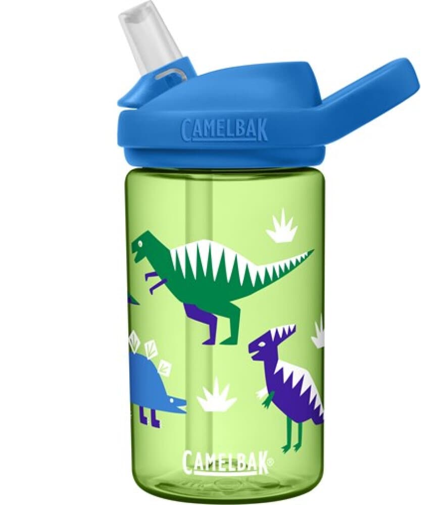 Yeşil CamelBak suluk mavi kapaklı ve dinozor desenli