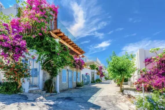 Bu Yaz Bodrum’da Ne Var Ne Yok?