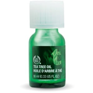 tea-tree-oil_l