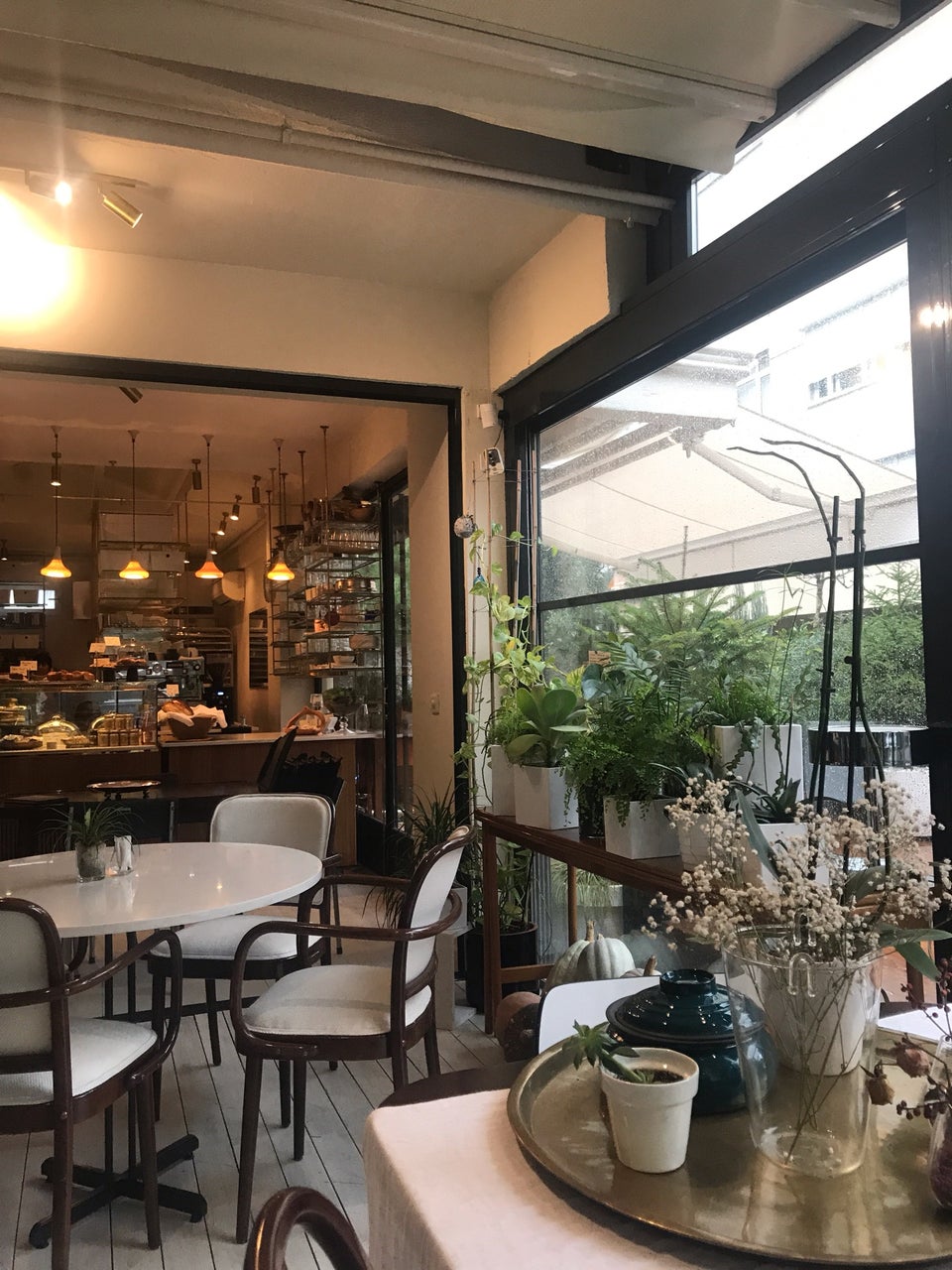 Aydınlık bir kafenin iç görünümü masalar sandalyeler ve yeşil bitkiler