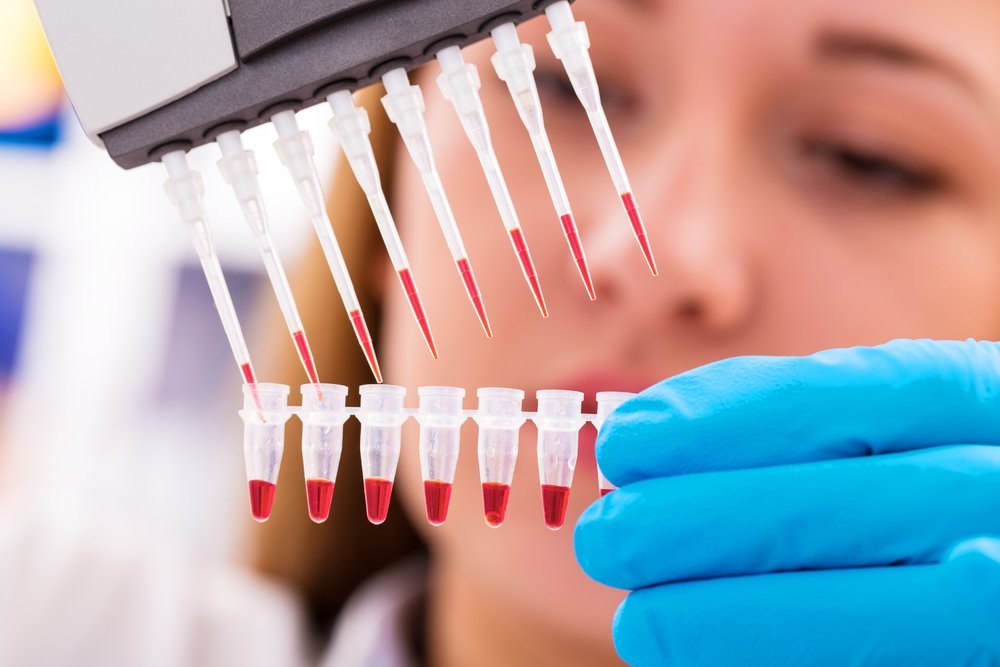 Laboratuvarda çoklu pipetle kırmızı sıvı örneklerini aktaran bilim insanı
