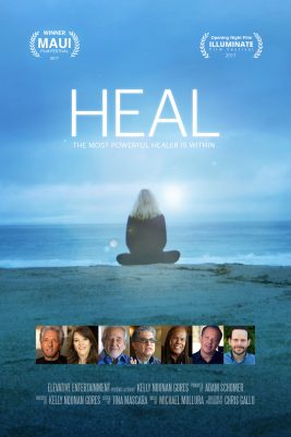 HEAL filmi afişi, deniz kenarında meditasyon yapan kişi ve uzmanlar