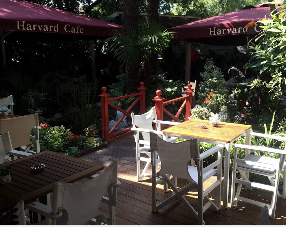 Harvard Cafe'nin gölgeli bahçesi, kırmızı tente, ahşap teras ve beyaz sandalyeler