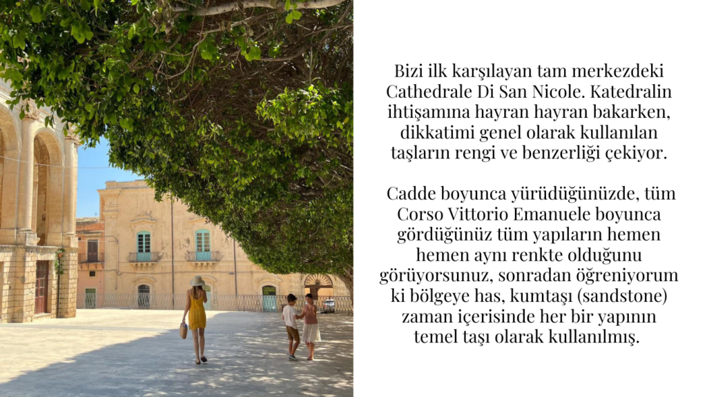 Güneşli meydanda tarihi katedral kumtaşı binalar ve insanlar yeşil ağaçlar