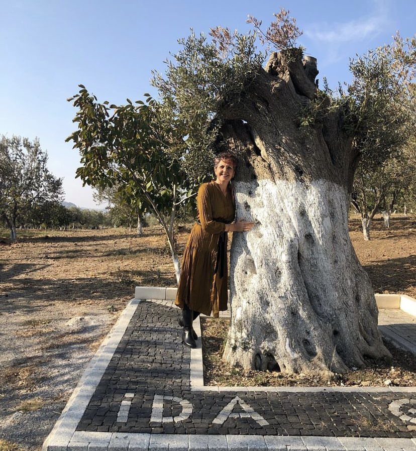 İDA yazısının yanında büyük bir zeytin ağacına sarılan kadın