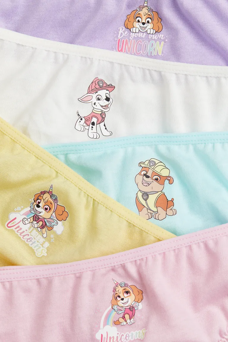 Beş adet pastel renkli Paw Patrol karakterli kız çocuk külotları