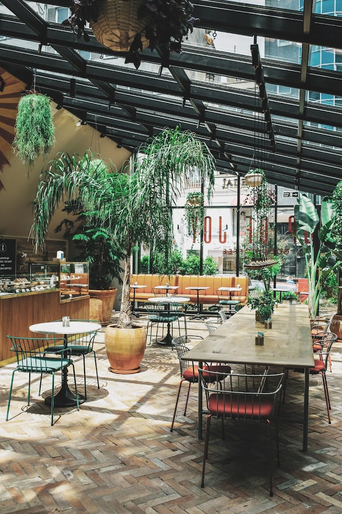 Bol bitkili cam çatılı güneş alan şık bir kafe veya restoran