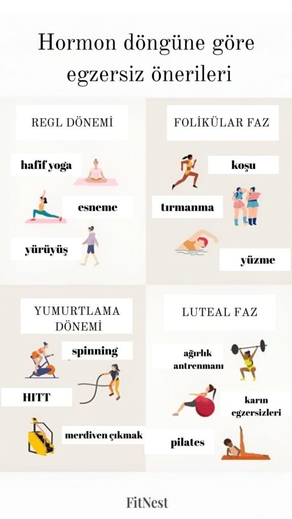 Kadın hormon döngüsü fazlarına göre egzersiz önerileri sunan grafik