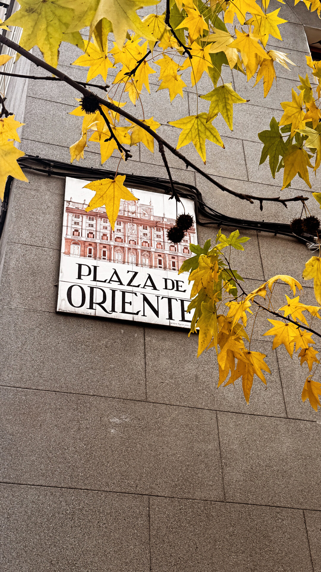 Parlak sarı sonbahar yaprakları ile çevrili "Plaza de Oriente" tabelası
